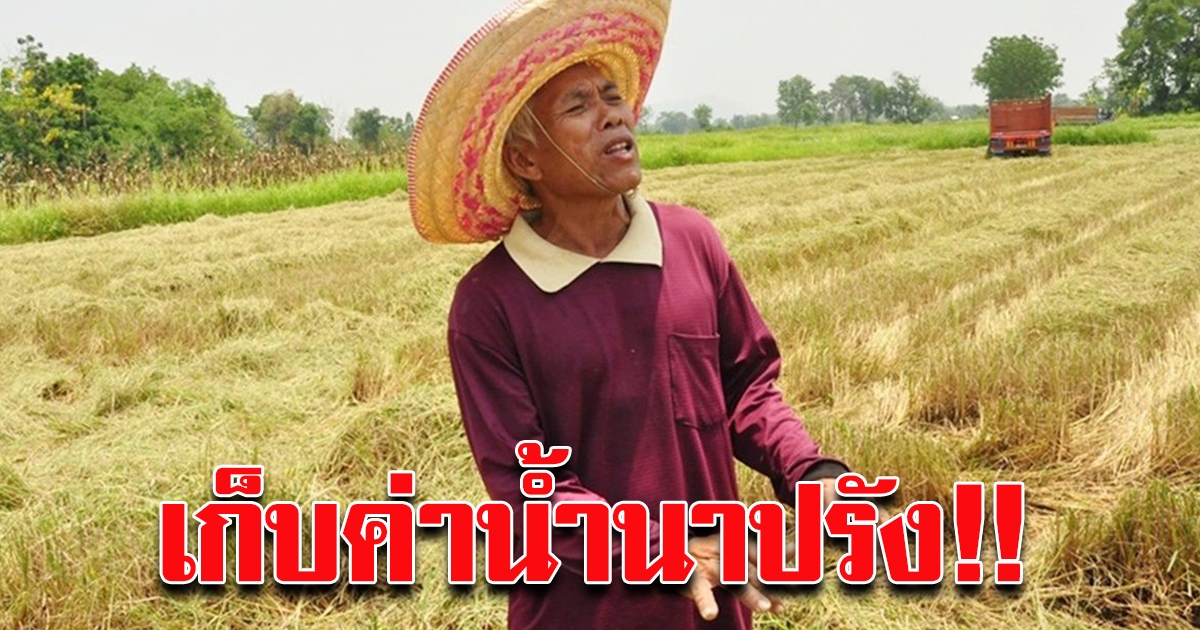 สทนช.เข็นกฎหมายชง ครม.เก็บค่าน้ำทำนาปรัง