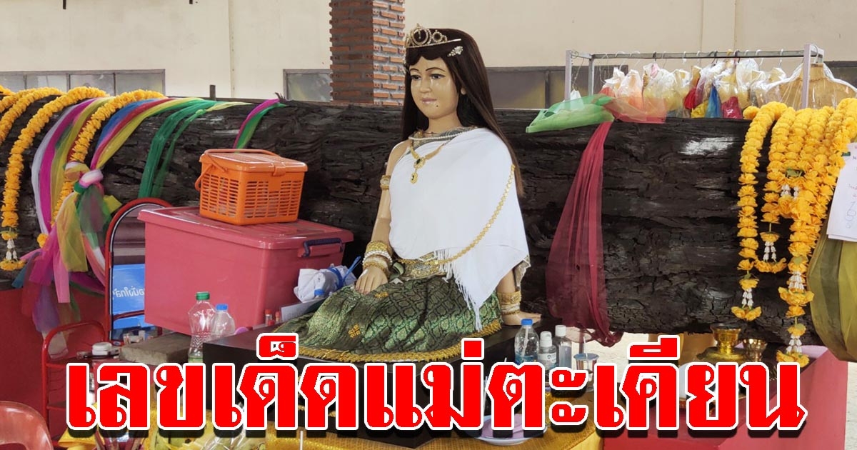 เลขแม่ศรีมณีทอง ตะเคียนอายุกว่า 200 ปี