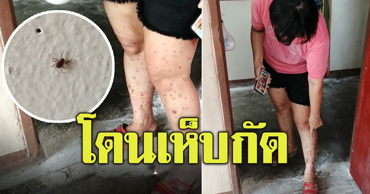 ข้างห้องแอบเลี้ยงสุนัข