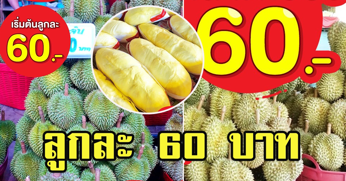 ทุเรียนลูกละ 60