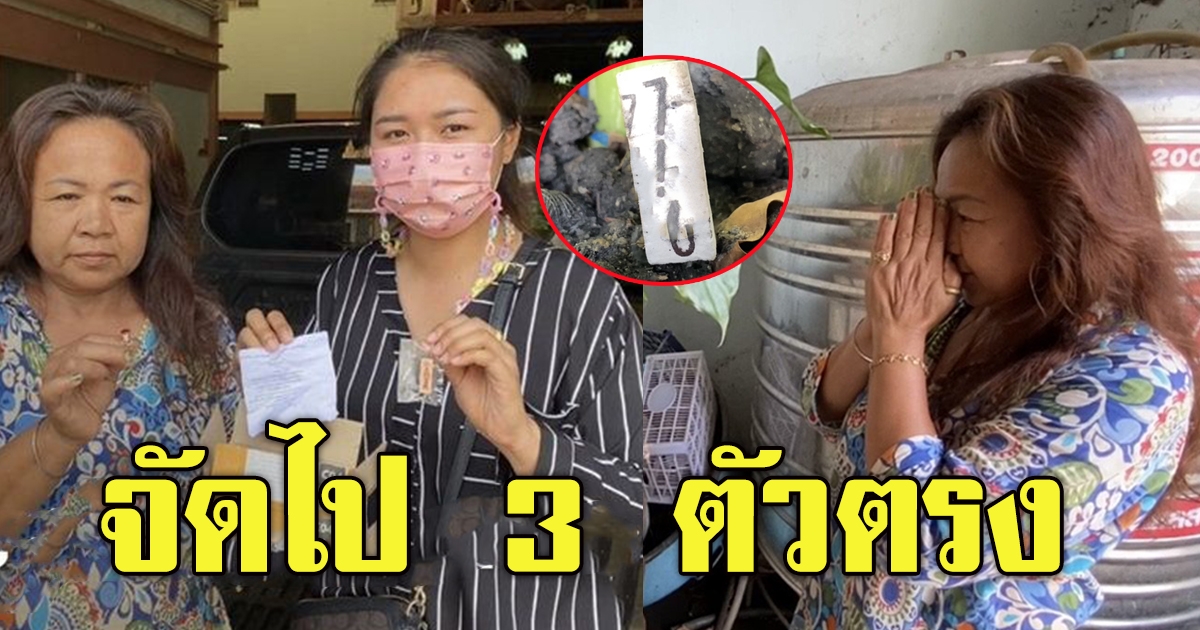 พัสดุเก็บเงินปลายทาง