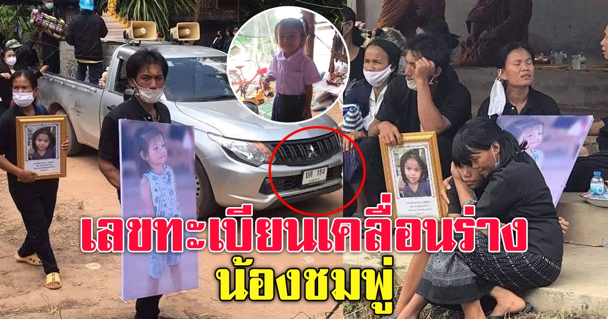 รำลึกการจากไปน้องชมพู่