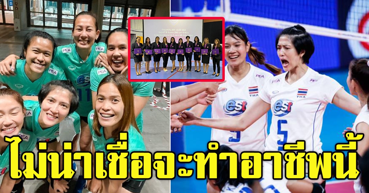 อาชีพใหม่ นักวอลเล่ย์บอลไทย