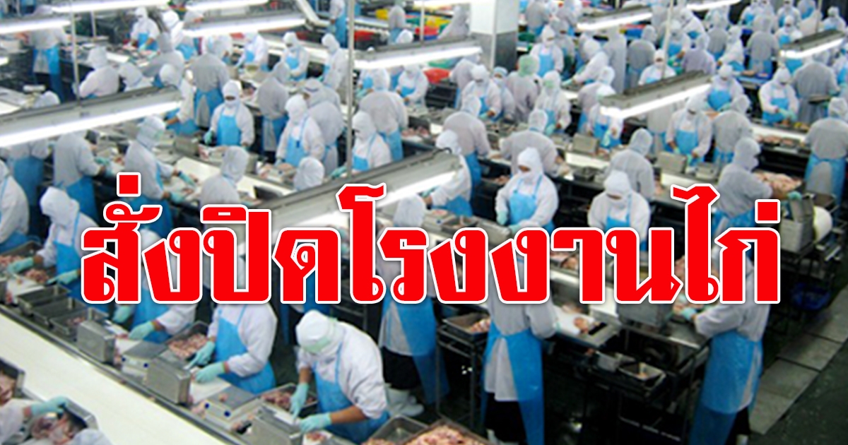 ลพบุรีสั่งปิดโรงงานไก่