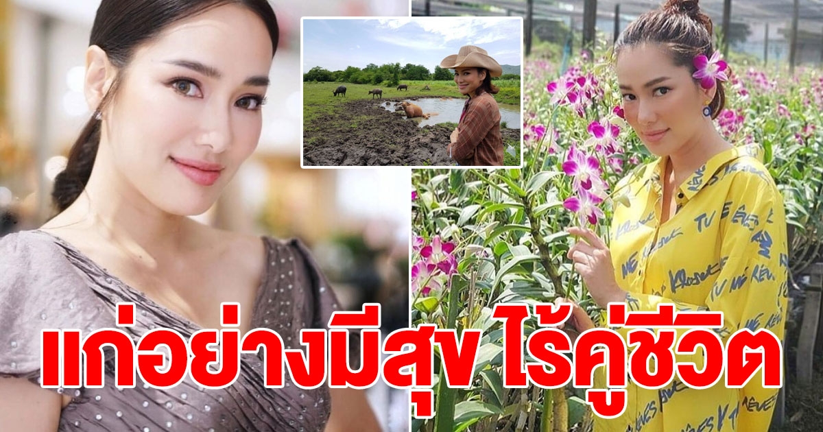 จอย รินลณี เกษียณ มีใช้ถึงอายุ 85 ปี