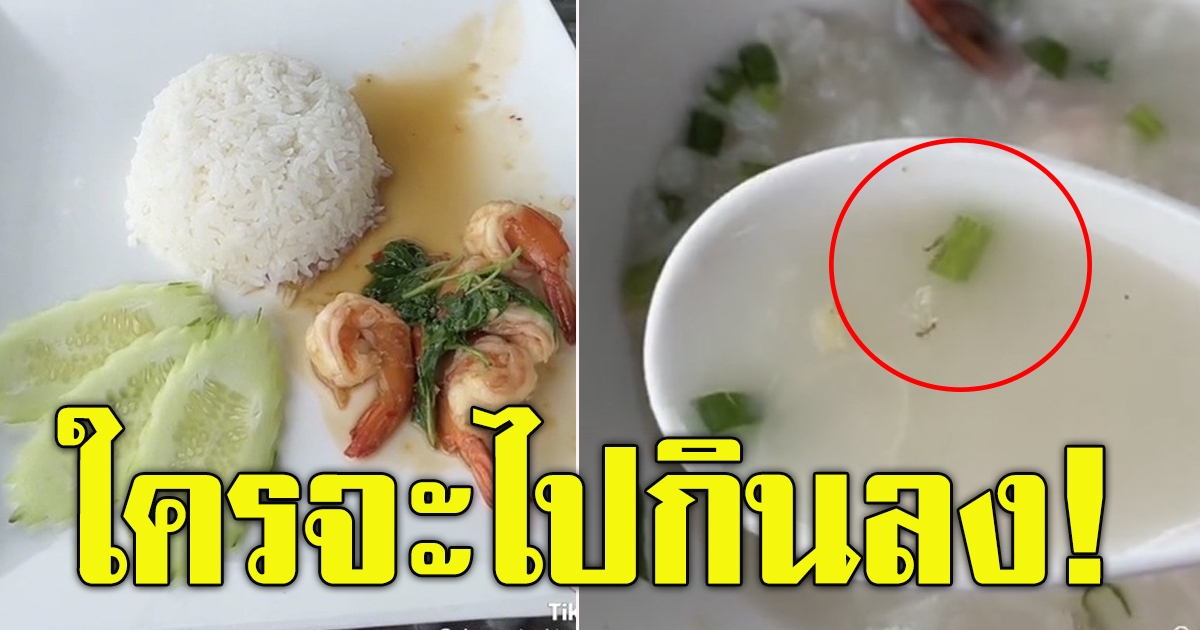 สาวสั่ง ข้าวกะเพรากุ้ง