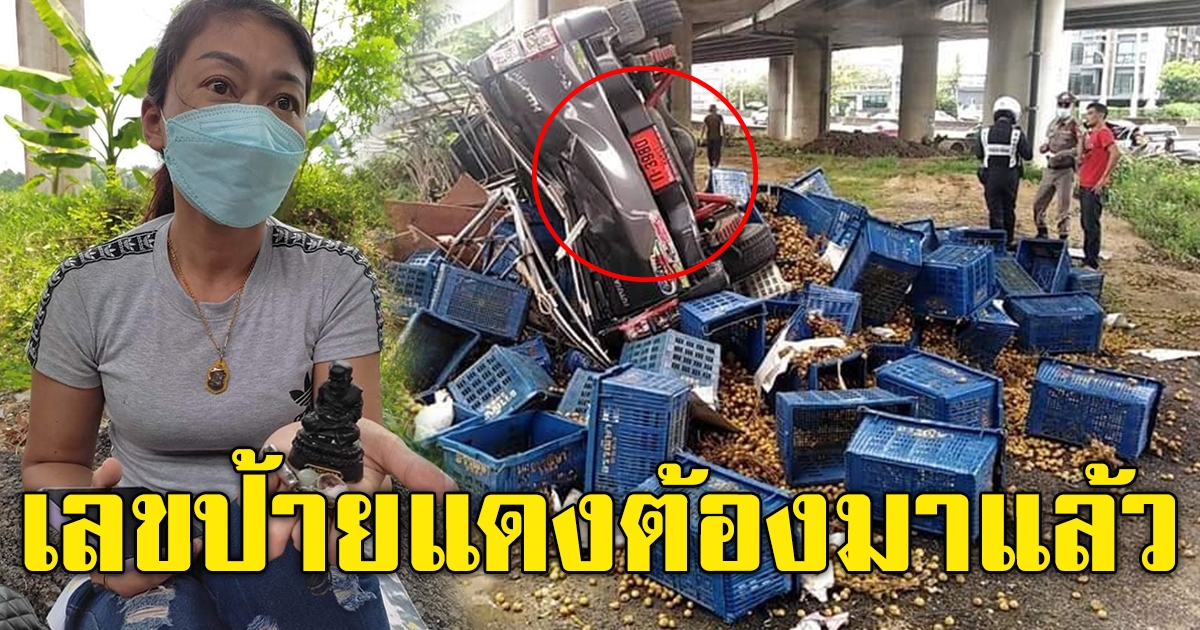 รถป้ายแดงขนลำไยขึ้นบนทางด่วน