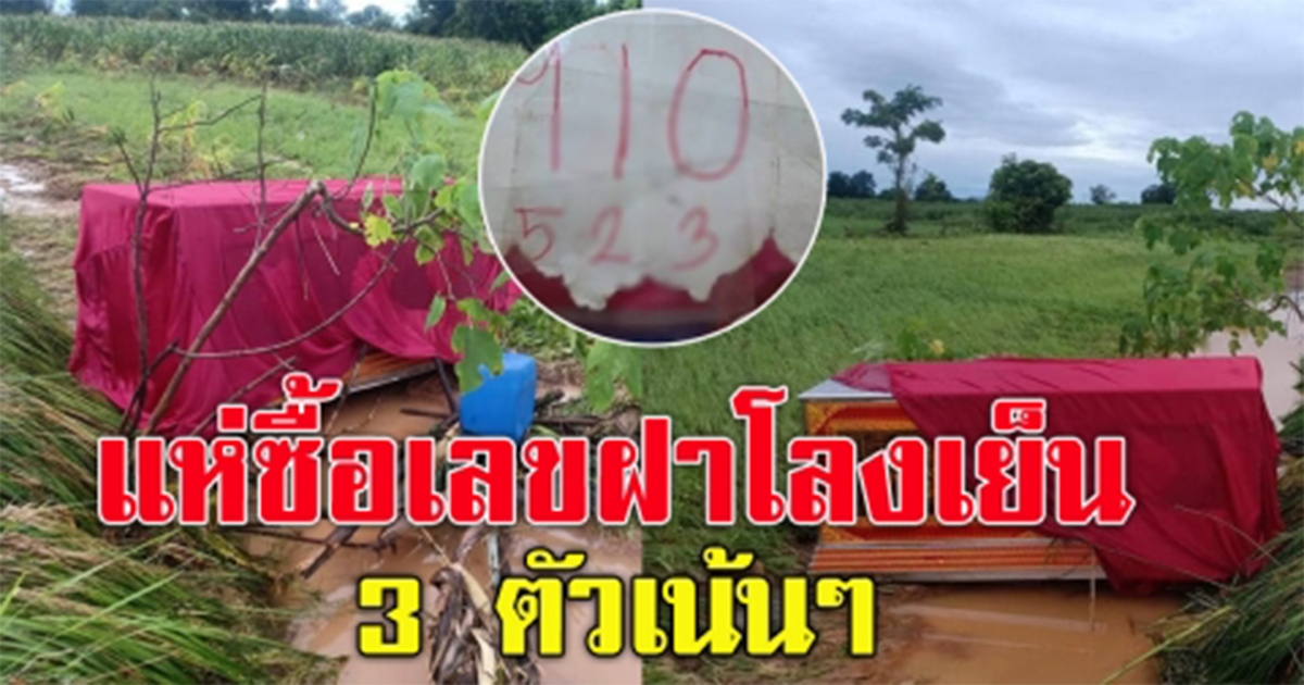 เลขฝาโลงเย็นลอยมากับน้ำกลางทุ่งนา