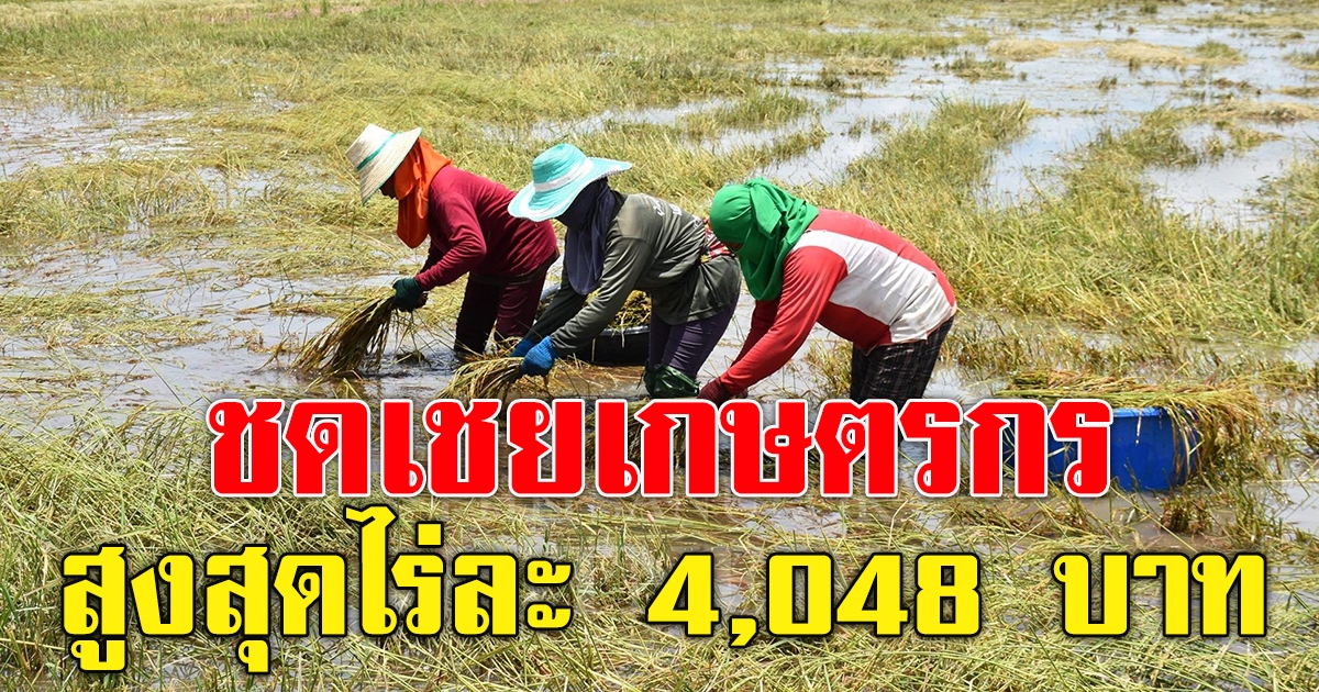 เกษตรกร รับเงินชดเชย