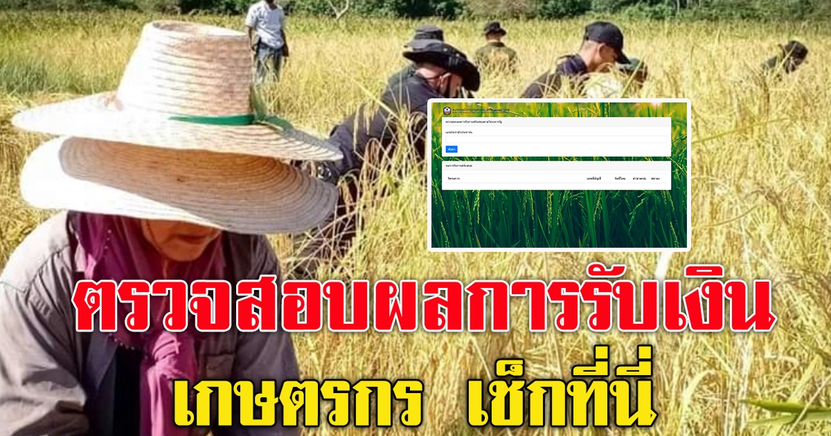 ตรวจสอบผลการรับเงินสนับสนุน โครงการเยียวยาเกษตรกร