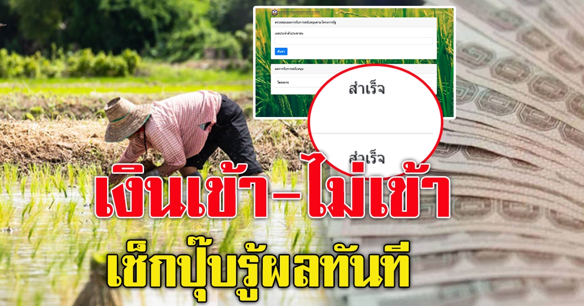 ตรวจสอบเงินประกันรายได้ข้าว เงินช่วยเหลือชาวนา