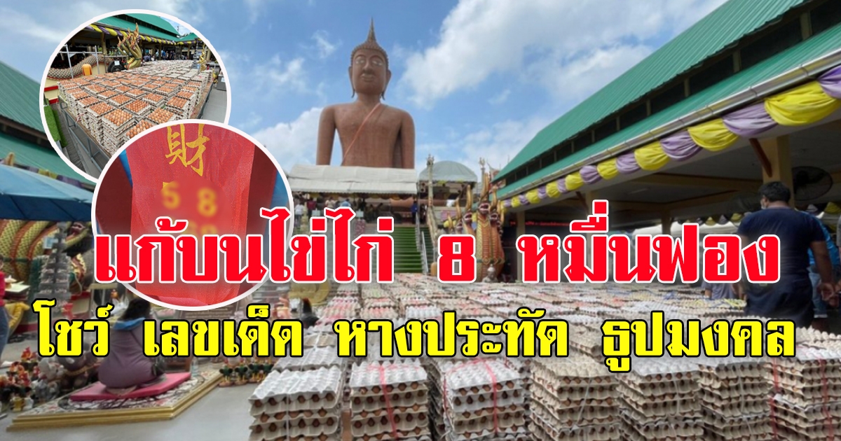 แก้บนไข่ไก่ 8 หมื่นฟอง