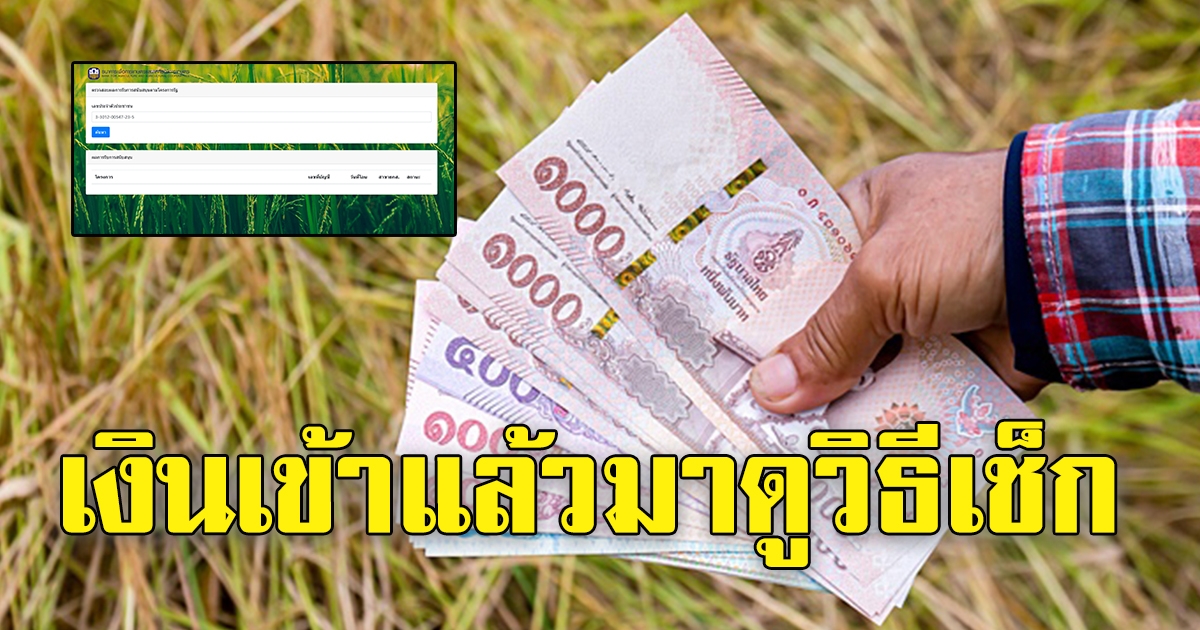 เงินประกันราคาข้าว จ่ายงวดแรกวันที่ 4 พ.ย.