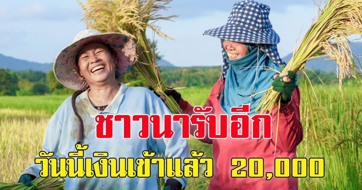 ชาวนาได้เงินอีกแล้ว 20,000