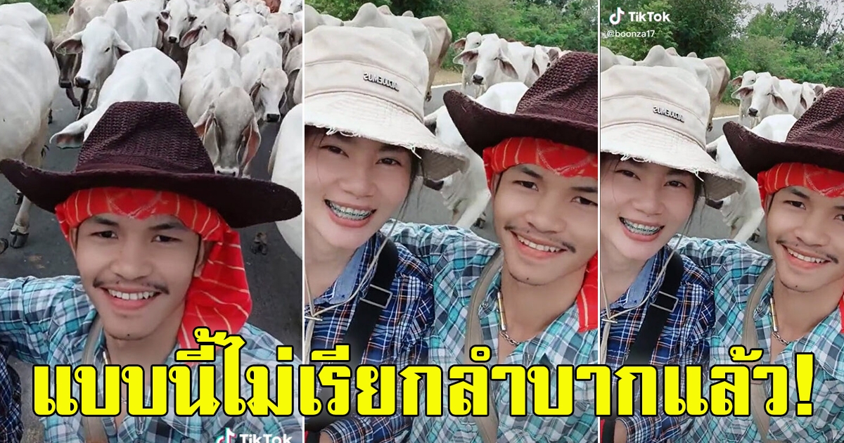 คู่รัก โพสต์ คลิป ไปเลี้ยงวัว