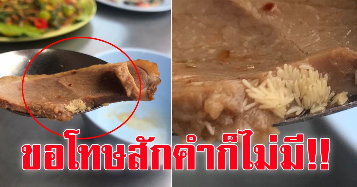 สาวโพสต์ ไปกินข้าวร้านอาหาร ที่เป็นร้านประจำ