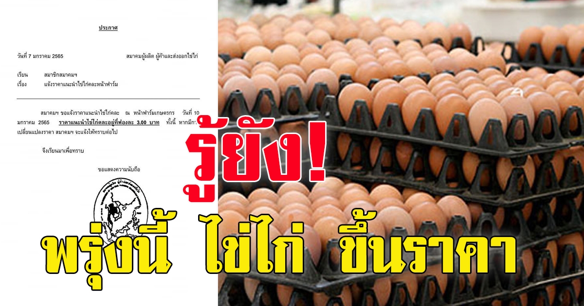 พรุ่งนี้ ไข่ไก่ ปรับขึ้นราคา