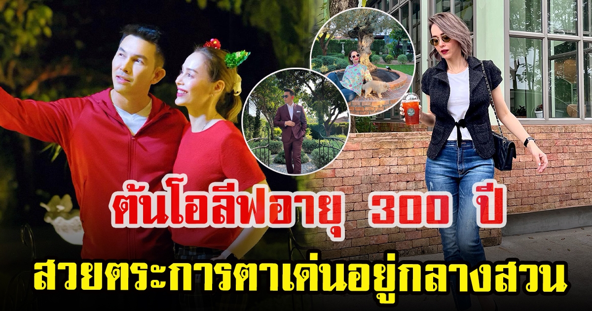 นัทกับอั้ม ปลูกต้นโอลีฟอายุ 300 ปี