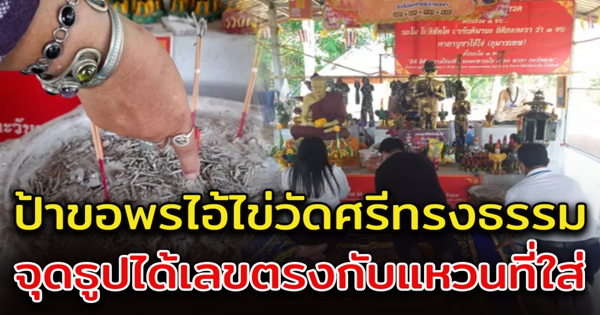 ลุงกับป้า มาขอโชค ไอ้ไข่วัดศรีทรงธรรม จุดธูปเลขตรงกับแหวนที่ใส่