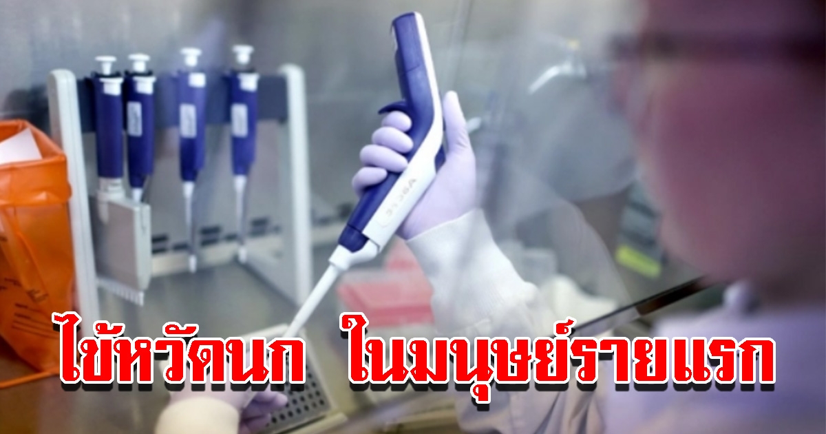 สหรัฐฯ ยืนยันพบ ไข้หวัดนก H5 ในมนุษย์รายแรก