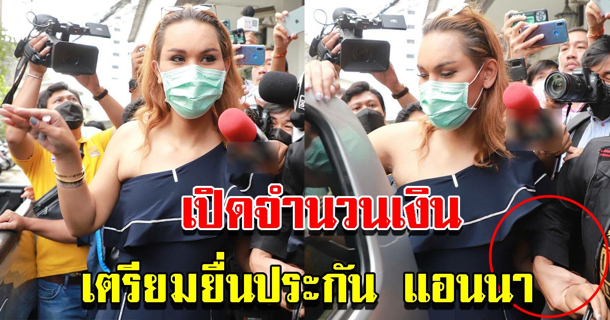 ทนายเตรียม ยื่นประกัน​ แอนนา