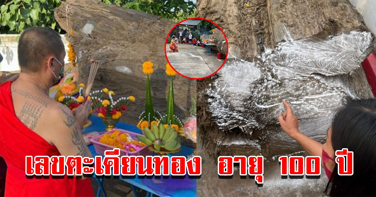 เลขบวงสรวง ตะเคียนทองอายุ กว่า 100 ปี