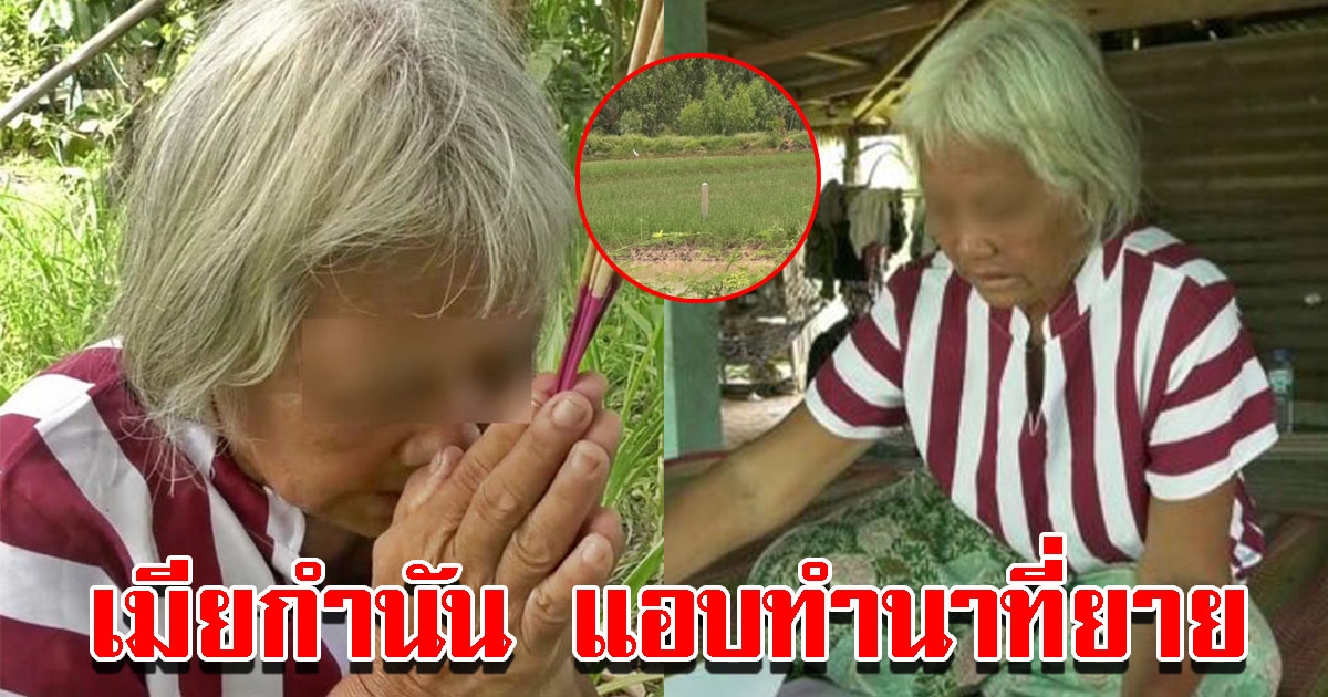 ยายถูกภรรยากำนัน บุกทำนาบนที่ดินตัวเอง