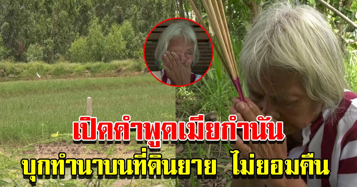 ภรรยากำนัน บุกทำนาบนที่ดินยาย