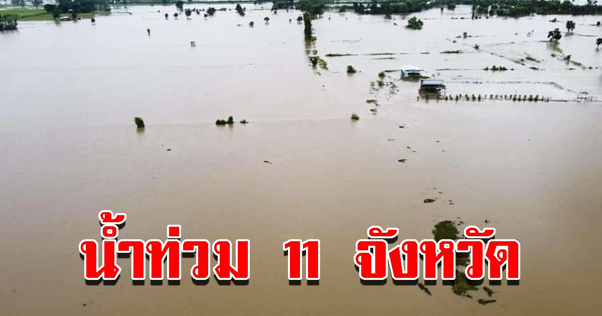 ปภ.รายงาน 11 จังหวัดยังอ่วม โดนน้ำท่วม 12 จังหวัดประสบวาตภัย