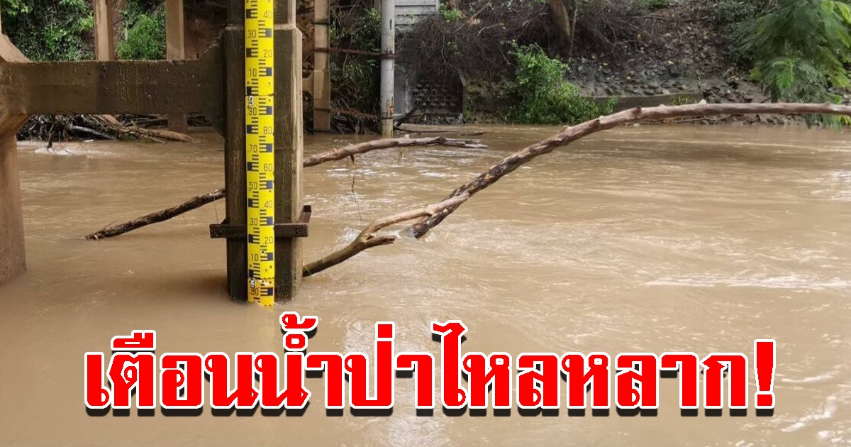 เตือนน้ำป่าไหลหลาก ห้ามลงเล่นน้ำ หลังฝนตกหนัก