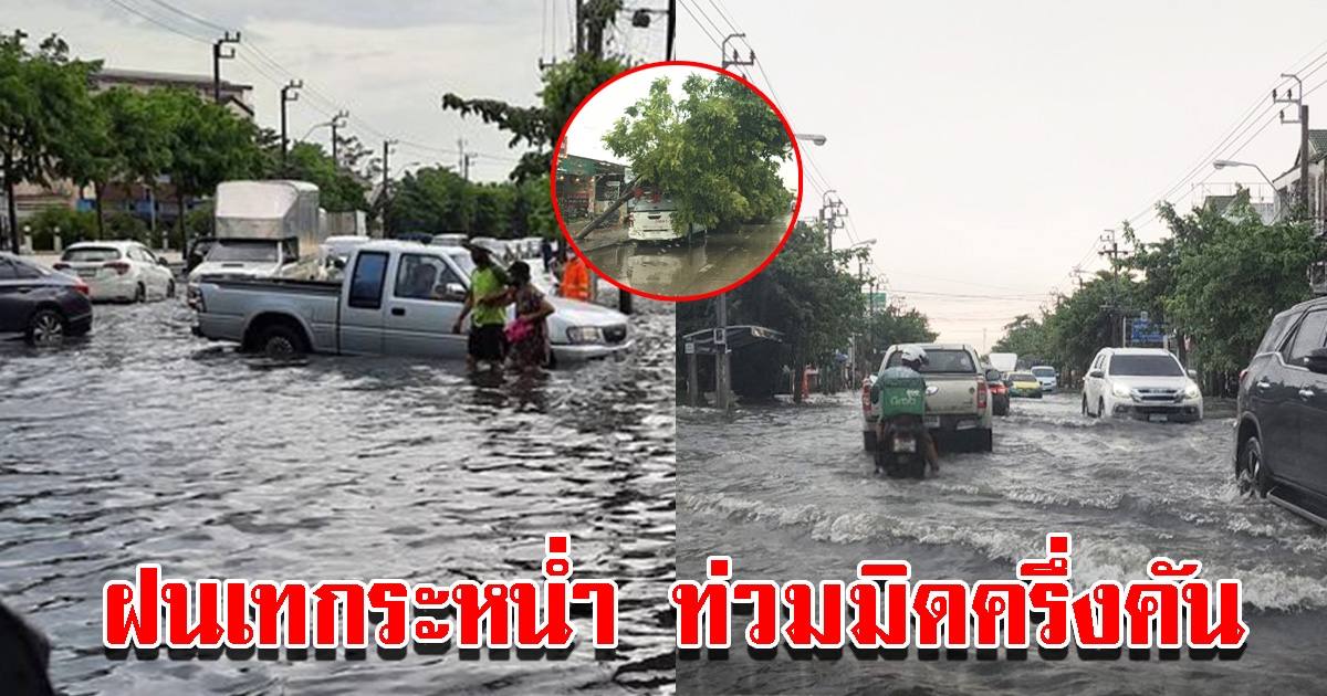 ฝนตกหนัก น้ำท่วมมิดครึ่งคัน ต้นไม้ล้มระเนระนาด