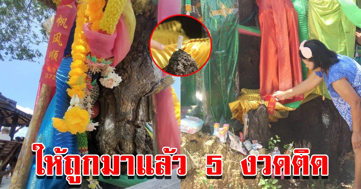 แห่ขอเลขเด็ดเจ้าแม่ตะเคียนวัดดัง โผล่ให้ 2-3 ตัวตรง ให้ถูกมาแล้ว 5 งวดติด