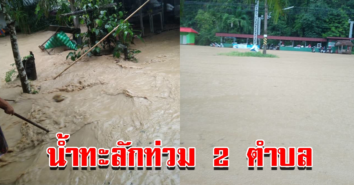 ฝนถล่มหนัก น้ำป่าหลากท่วม 4 หมู่บ้าน 2 ตำบลได้รับผลกระทบแล้ว