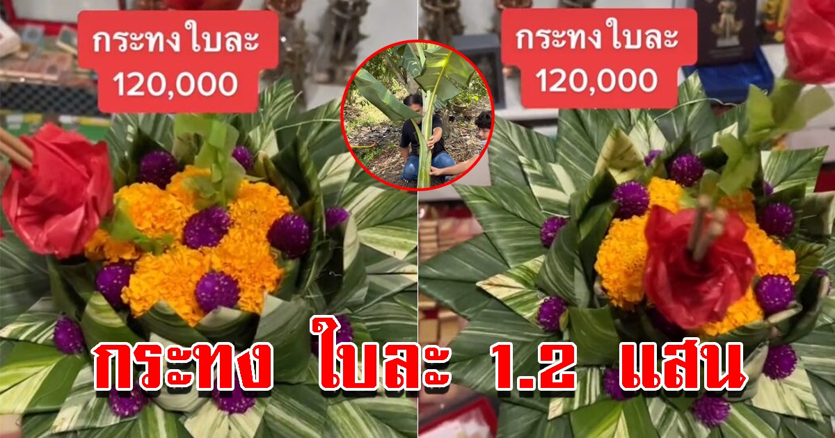 สาวทำกระทง ใบละ 1.2 แสน แพงที่สุดในชีวิต