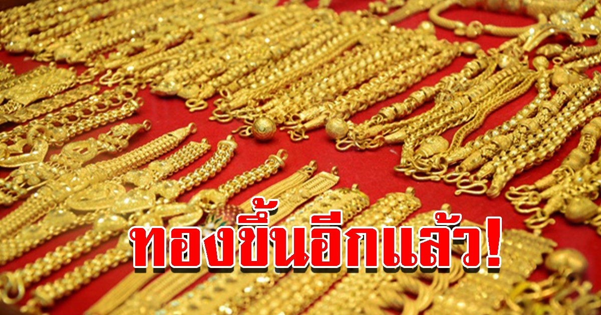 ราคาทองวันนี้ 12 พ.ย.65 เปิดตลาดเช้านี้ ผันผวนหนัก ปรับขึ้นอีกแล้ว