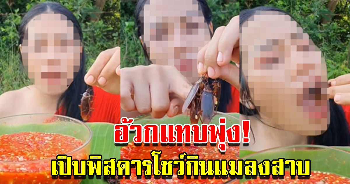 สาวเปิบพิสดาร โชว์กินแมลงสาบ