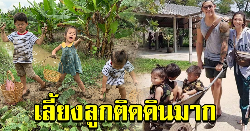 กาย ฮารุ เลี้ยงลูกติดดินมาก