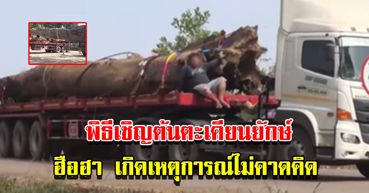 ชาวบ้านทำพิธีอัญเชิญ ต้นตะเคียนยักษ์ จมทรายอายุนับร้อยปี