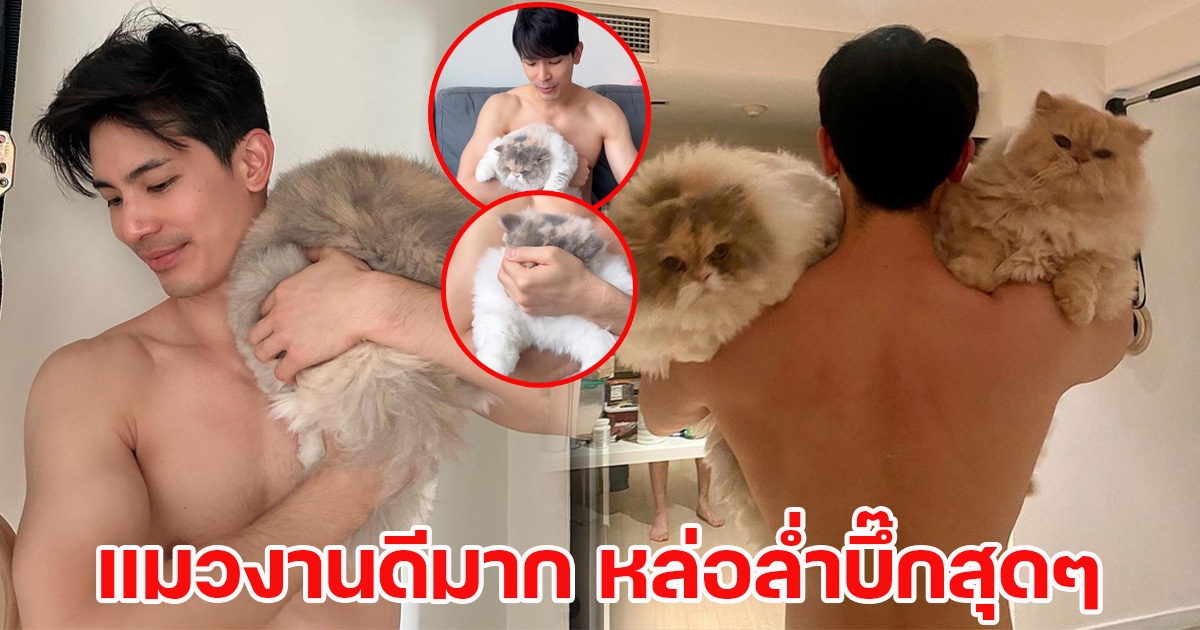 สนยุกต์ โพสต์คลิปเล่นกับแมว ทำเอาโฟกัสผิดจุด เห็นเเล้วใจละลายเป็นเเถว