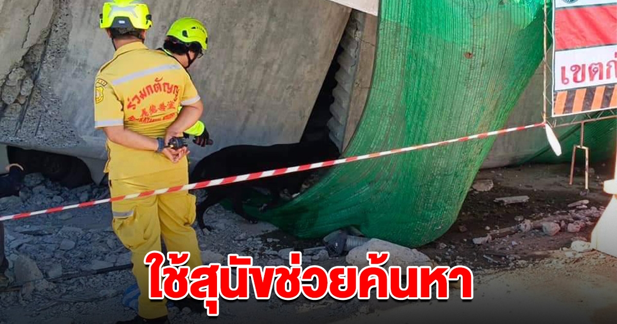 เปิดปฏิบัติการใช้สุนัข K9 ค้นหาร่างผู้สูญหายใต้สะพานถล่ม