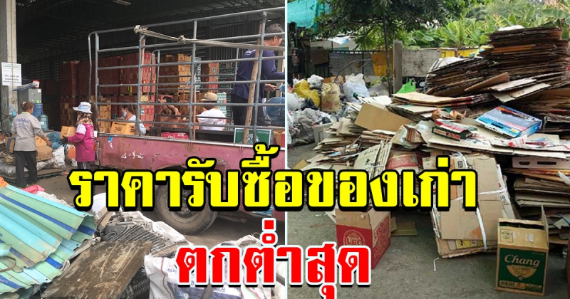 พ่อค้าของเก่าโอด ราคารับซื้อกระดาษรีไซเคิลตกต่ำ