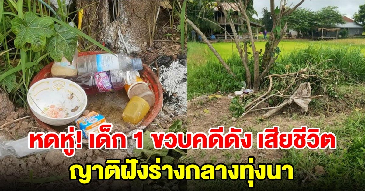 หดหู่ใจ เด็กอายุ1 ขวบเศษ คดีดังเสียชีวิต ญาตินำร่างฝั่งกลางทุ่งนาโดยไม่มีงานพิธีกรรม