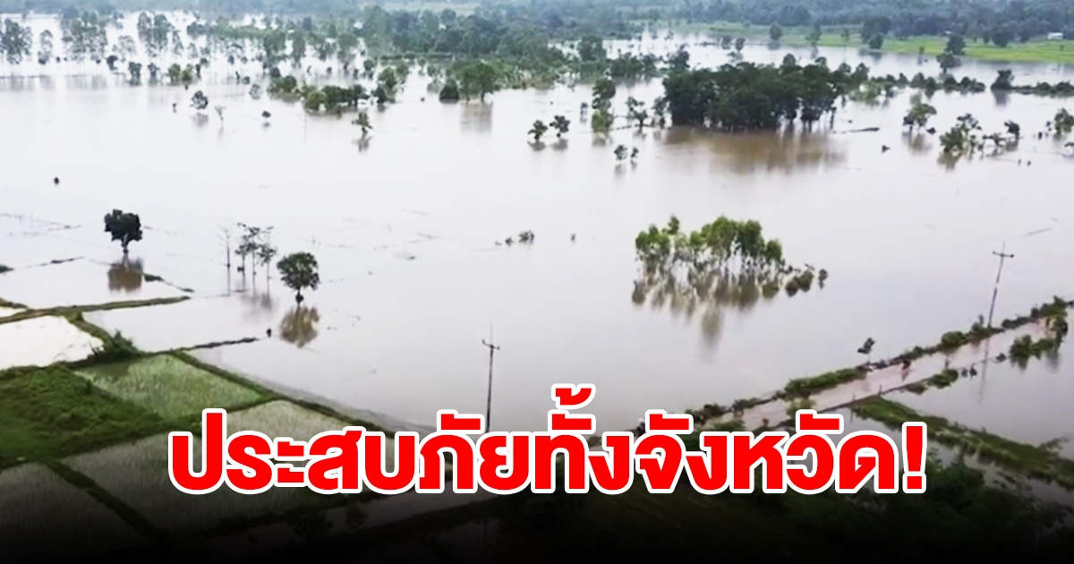 น้ำโขงส่อวิกฤติเพิ่มสูง ประกาศพื้นที่ประสบภัยทั้งจังหวัด รวม 12 อำเภอ