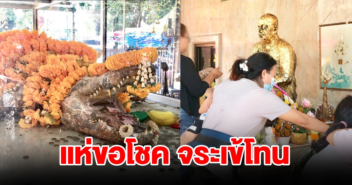 ศรัทธาแน่น แห่อาบน้ำจระเข้ เชื่อความศักดิ์สิทธิ์ ผ่านอุปสรรคสำเร็จ มีโชคปลดหนี้