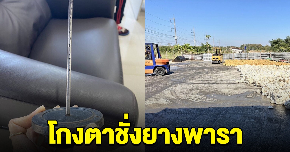 ชาวบ้านร้อง ลานนี้โกงตาชั่งยางพารา จนท.ตรวจสอบเจอคาหนังคาเขา