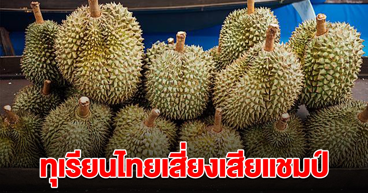 ทุเรียนไทยเสี่ยงเสียแชมป์ ยืนหนึ่งในจีน หลังหลายชาติแข่งส่งออกตีตลาด