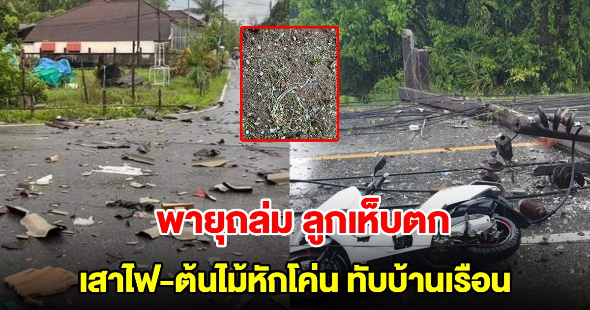 พายุฝนถล่ม ลมกระโชกแรง ลูกเห็บตกหลายพื้นที่ เสาไฟล้ม ต้นไม้หักโค่นทับบ้านเรือน