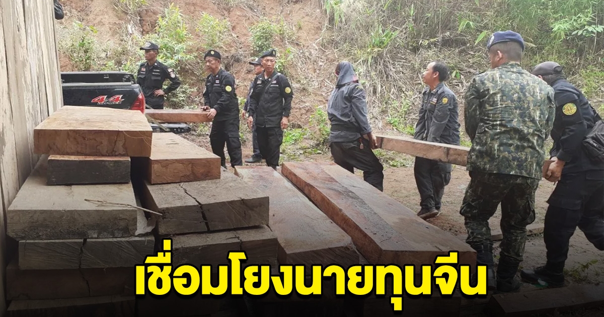 ยึดไม้สัก-ประดู่ ไม้หวงห้าม ในเขตป่าสงวนฯ เชื่อมโยงนายทุนจีน