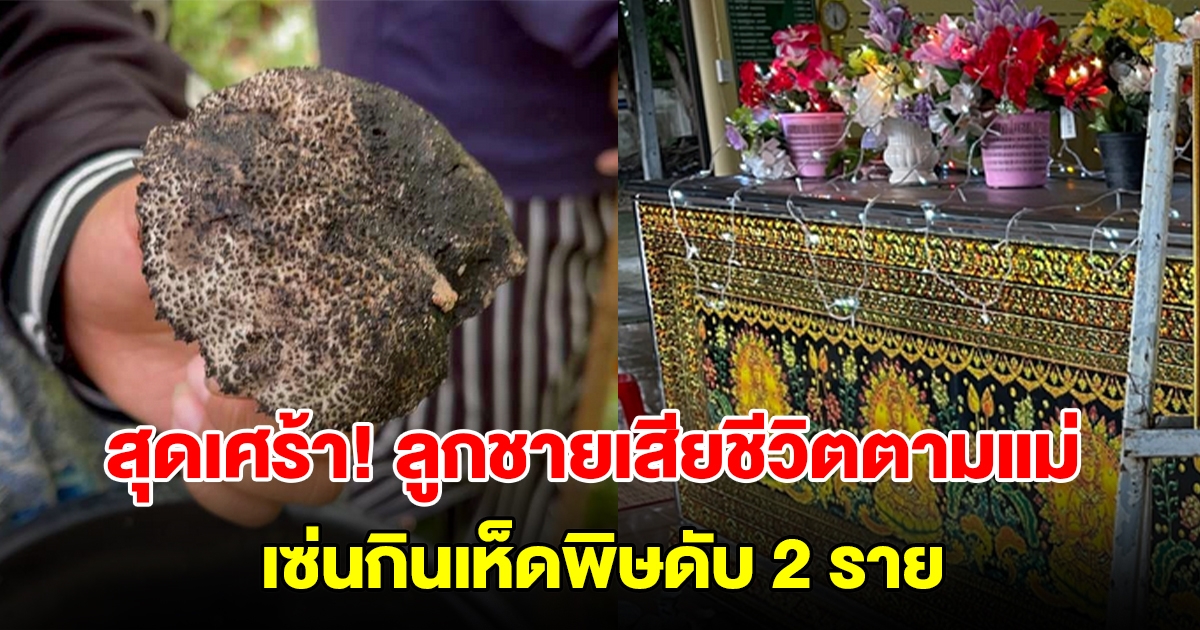 สุดเศร้า! เผาแม่ได้ 5 วัน ลูกชายเสียชีวิตตาม เซ่นกินเห็ดพิษดับ 2 ราย