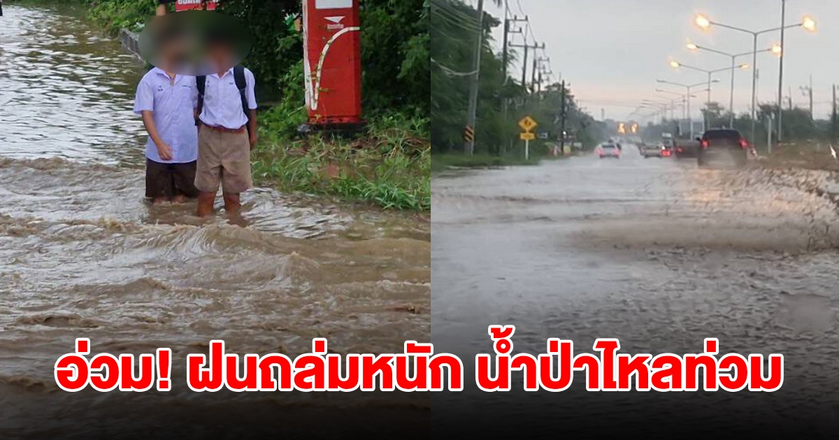 อ่วม! ฝนถล่มหนัก น้ำป่าหลากเข้าท่วมอ.พิมาย